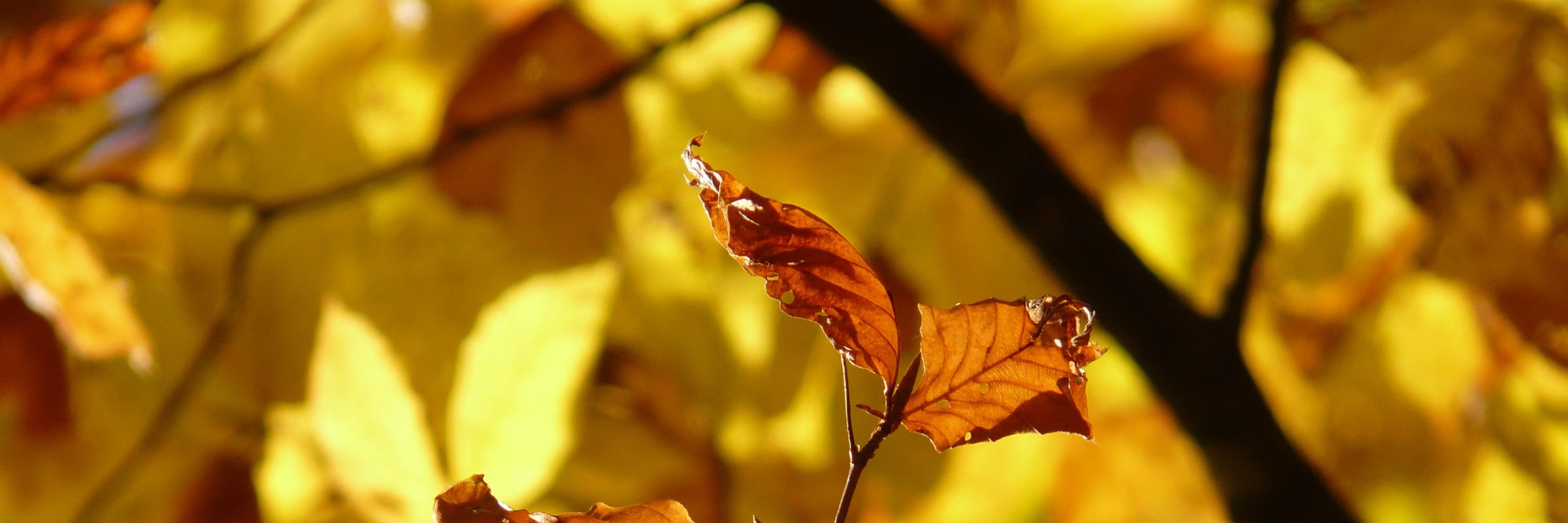 Providing fabulous facilities for the community.