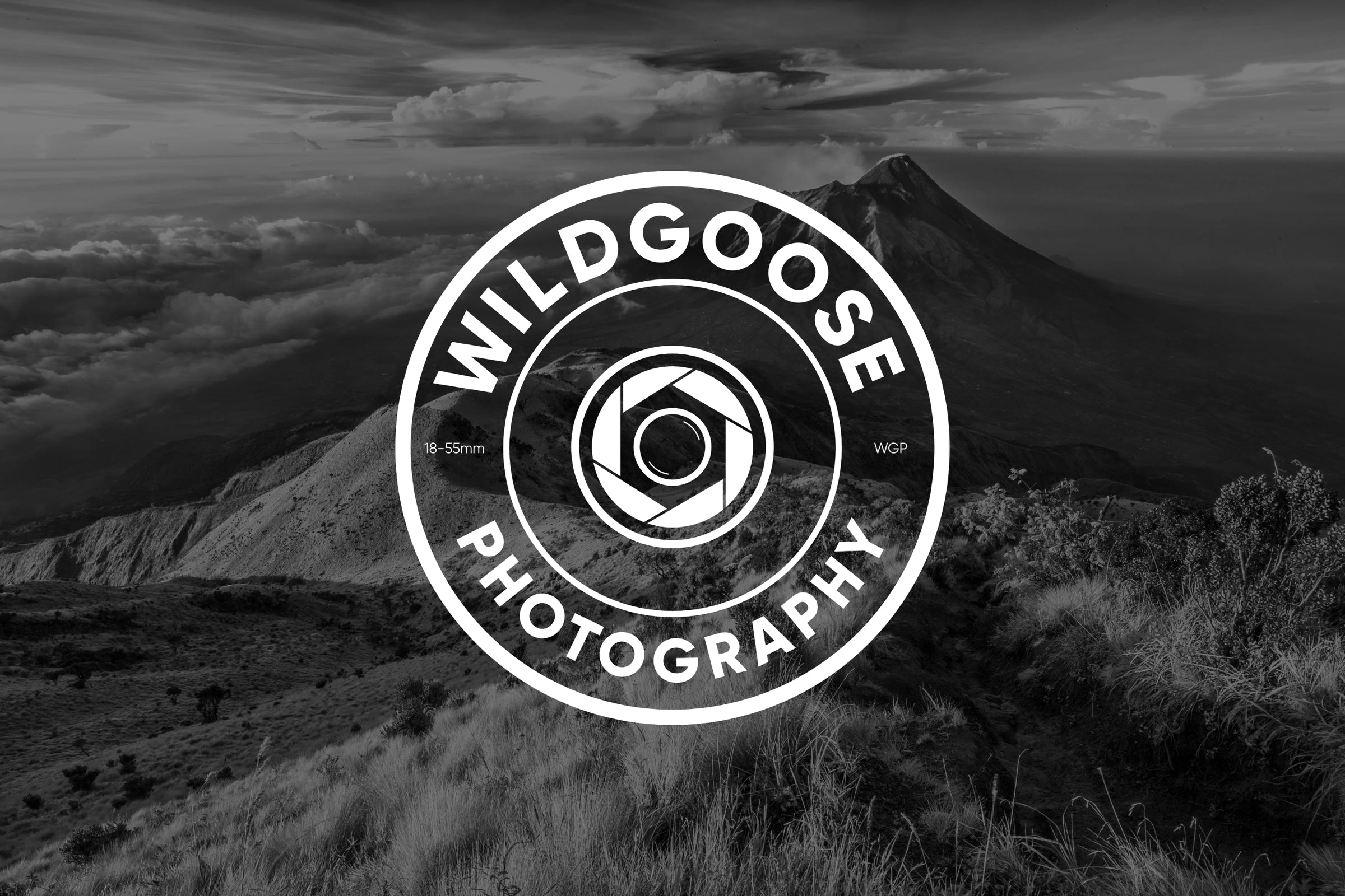 Wildgoose Photgraphy - Logo Design with Background