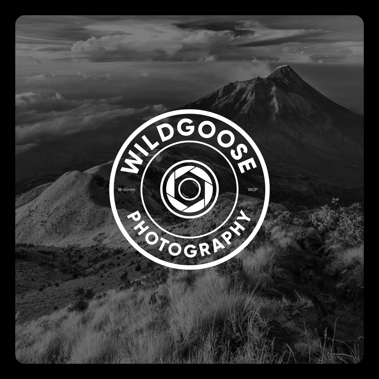 Wildgoose Photgraphy - Logo Design with Background